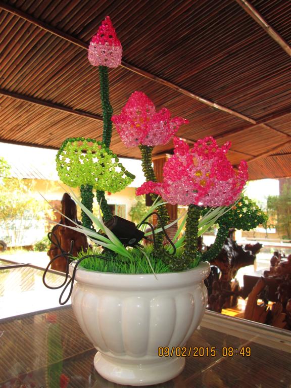 Các bé Cô nhi - Hình mô tả 35