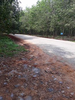 Làm đường Làng Tre - Hình mô tả 1