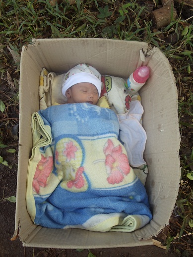 Nguồn gốc các con đến với Làng Tre - Hình mô tả 1