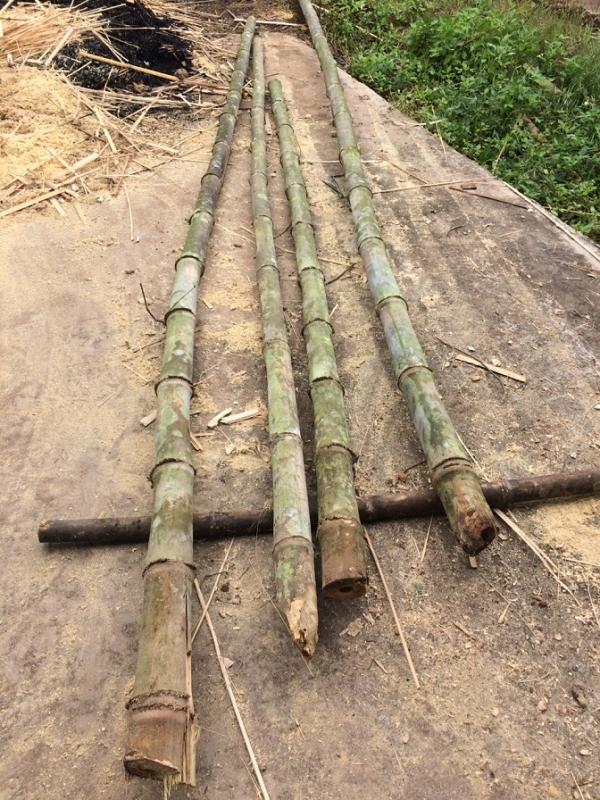 Đũa tre - Hình mô tả 1