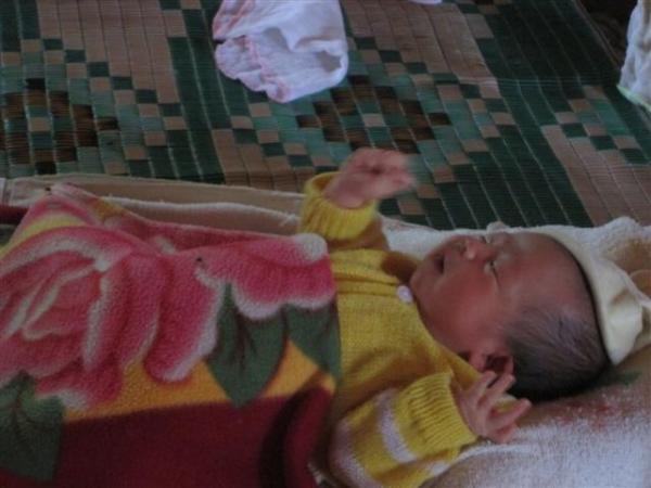 Hình ảnh Trung tâm Nhân Đạo Làng Tre năm 2015 - Hình mô tả 36