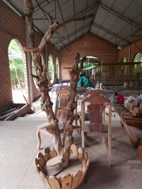 Lan Làng Tre - Hình mô tả 12