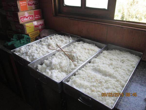 Các bé Cô nhi - Hình mô tả 26