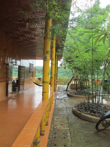 Hình ảnh Trung tâm Nhân Đạo Làng Tre năm 2015 - Hình mô tả 43