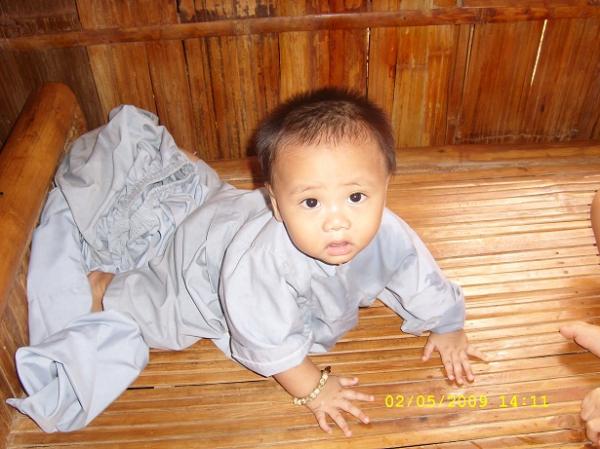 Huỳnh Thiện Toàn - 2008 - Hình mô tả 2