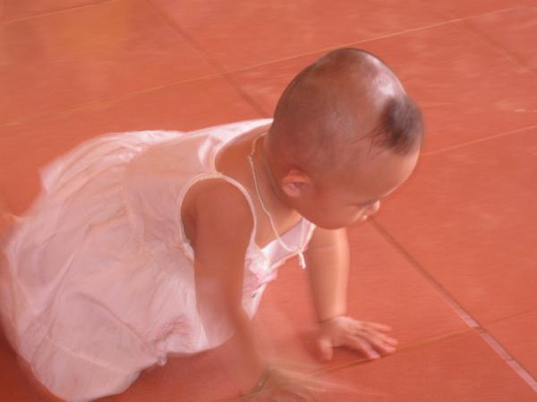 Huỳnh Hương Trúc - 2008 - Hình mô tả 2