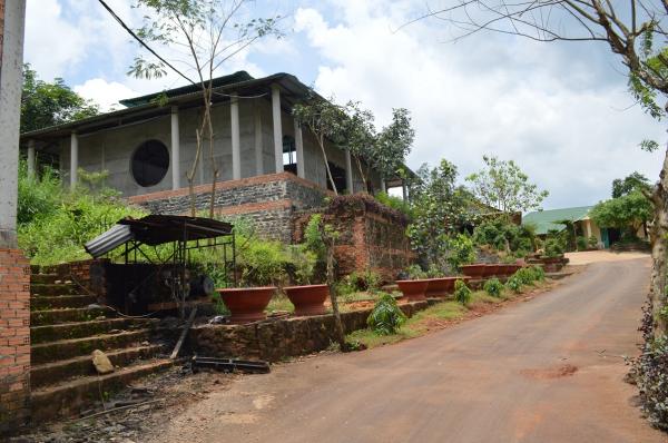 Xung quanh Làng Tre - Hình mô tả 4