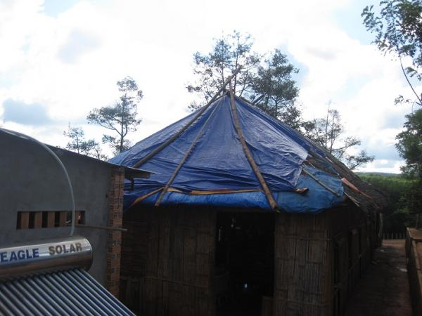 Làng Tre 2008 đến 2011 - Hình mô tả 5