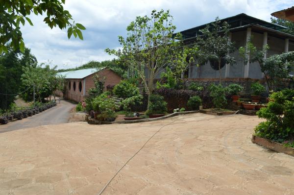 Xung quanh Làng Tre - Hình mô tả 6