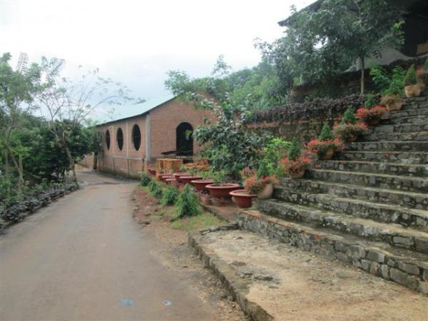 Hình ảnh Trung tâm Nhân Đạo Làng Tre năm 2015 - Hình mô tả 19