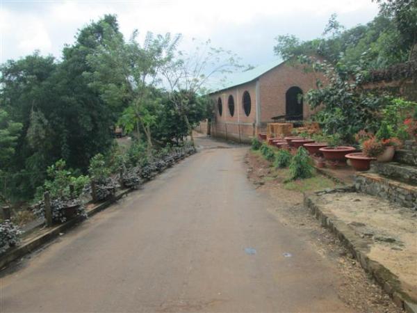 Hình ảnh Trung tâm Nhân Đạo Làng Tre năm 2015 - Hình mô tả 20