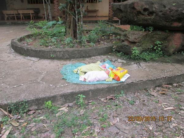 Nguồn gốc các con đến với Làng Tre - Hình mô tả 9